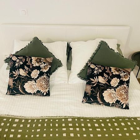Appartements De Charme Du General Leclerc - Place D'Erlon - Hypercentre - Gare - 兰斯 外观 照片